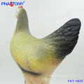 PNT-0825 Modelo anatômico de frango e galinha em tamanho natural